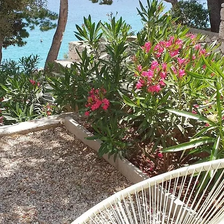 Dolce Villa, Votre Maison En Front De