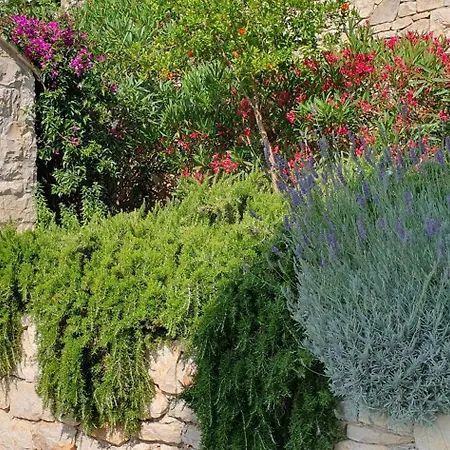 Dolce Villa, Votre Maison En Front De Villa Lumbarda
